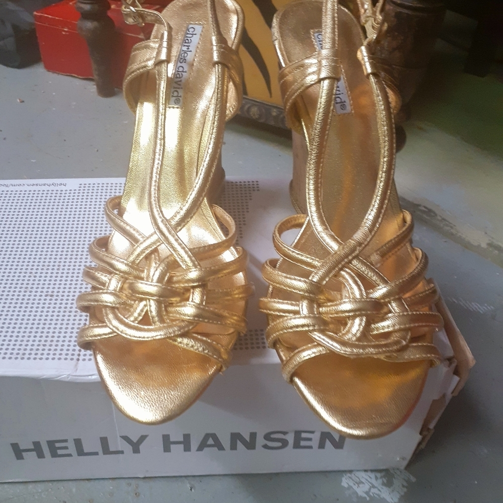 Charles david wedges